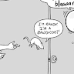 Meet your Posher, Meredith